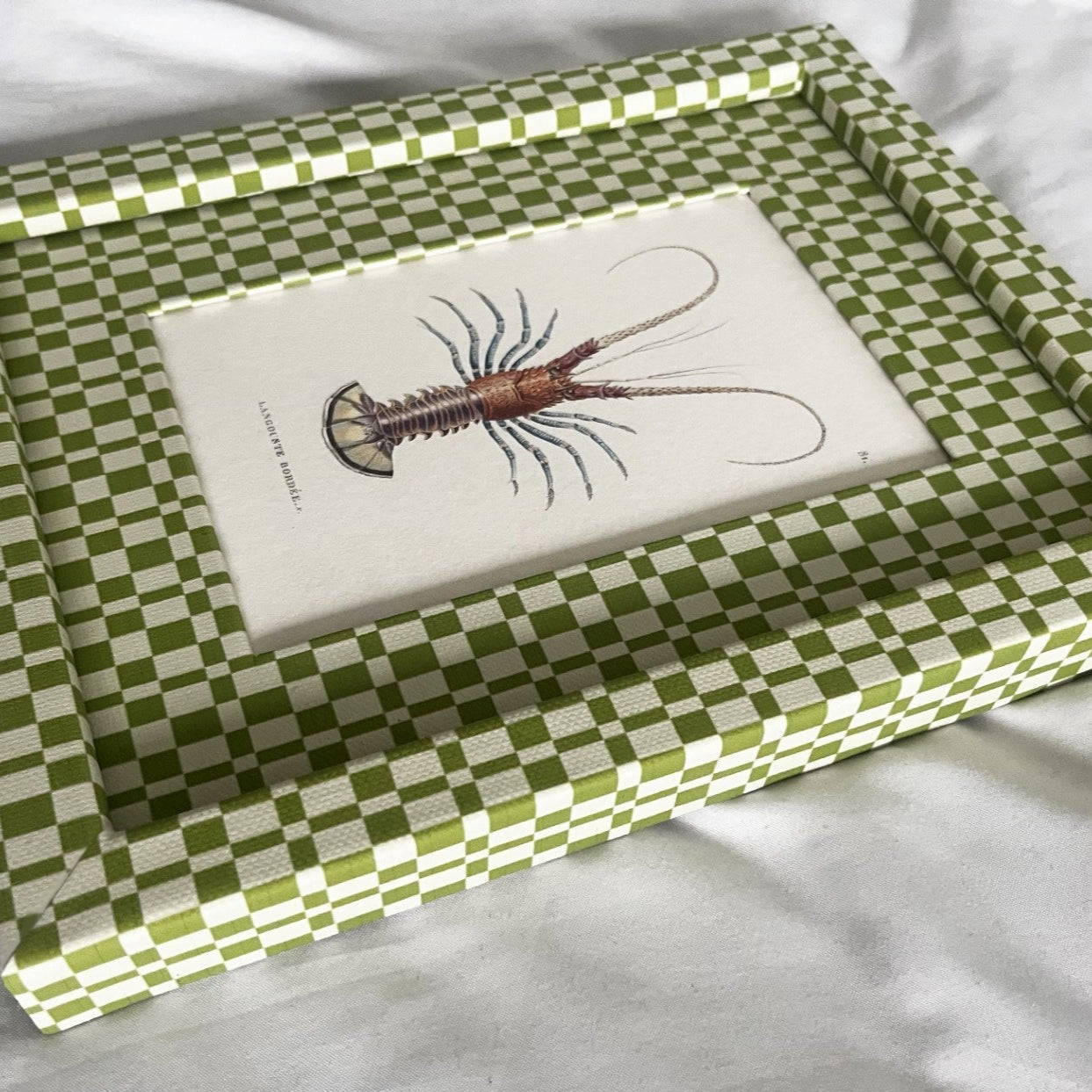 Side angle of framed Langoustine Bordée illustration with handcrafted green and beige checkered cotton frame.