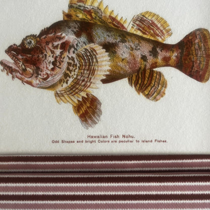 Vintage Hawaiian scorpionfish and trumpetfish prints in elegant 9x7in frames. A colourful, coastal-inspired art set with historical roots and handcrafted textile detail.