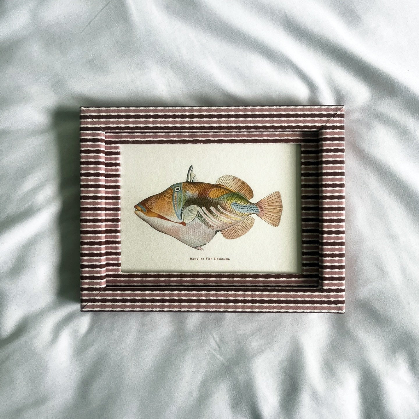 Vintage Hawaiian fish art: Nohu (Scorpionfish) and Nakunuku (Trumpetfish) in cotton-wrapped artisan frames. Perfect for ocean lovers.