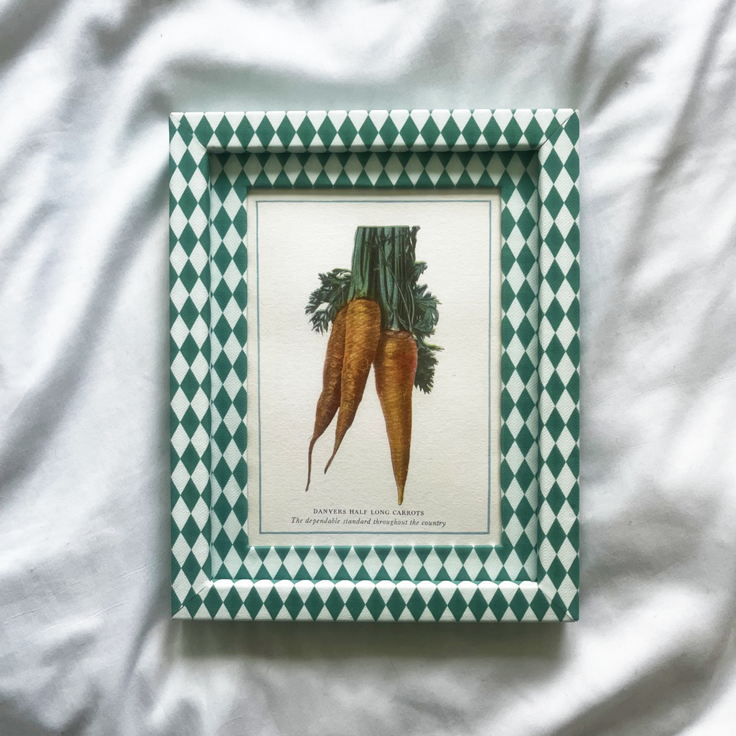 Carrot Print with Green & Blue Harlequin Frame 10x8in