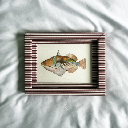 Set of 2 Hawaiian Fish Prints with Blush & Burgundy Zigzag Frame 9x7in