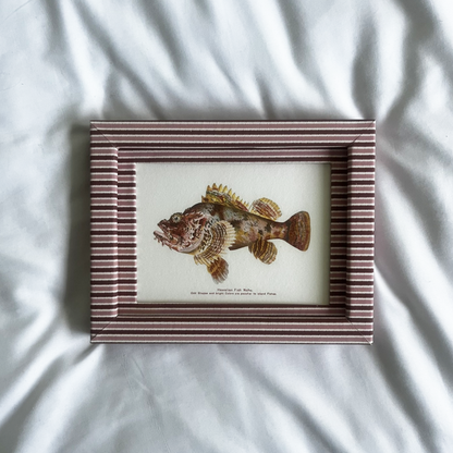 Set of 2 Hawaiian Fish Prints with Blush & Burgundy Zigzag Frame 9x7in