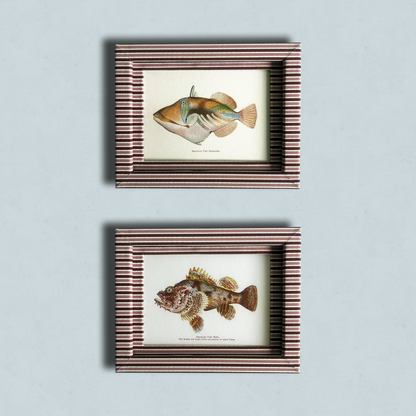 Set of 2 Hawaiian Fish Prints with Blush & Burgundy Zigzag Frame 9x7in