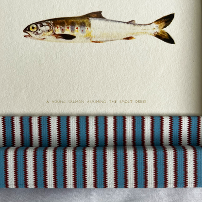 Young Salmon Print with Blue & Burgundy Zigzag Frame 9x7in