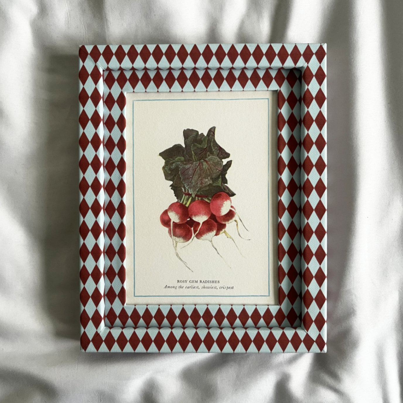 Radish Print with Burgundy & Blue Harlequin Frame 10x8in