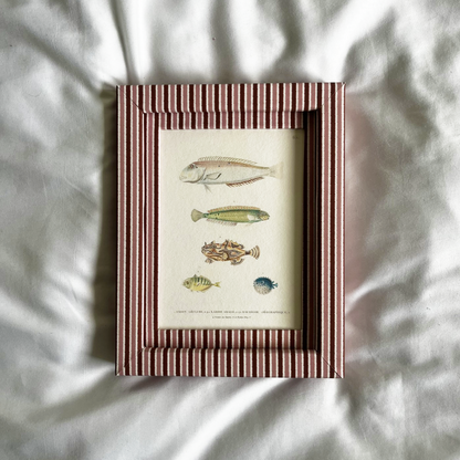 Fish Print with Blush & Burgundy Zigzag Frame 9x7in