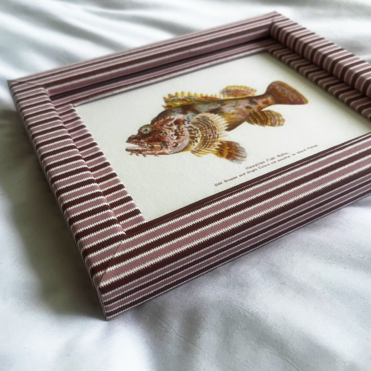 Set of 2 Hawaiian Fish Prints with Blush & Burgundy Zigzag Frame 9x7in