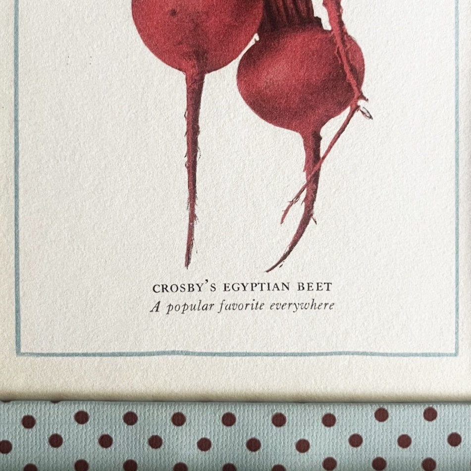 Beet Print with Blue & Burgundy Pembroke Dot Frame 10x8in