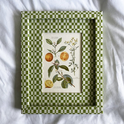 Full view of Citrus Aurantium Botanical Oranges print in 10x8in Green & Beige Checkered cotton-wrapped frame.


