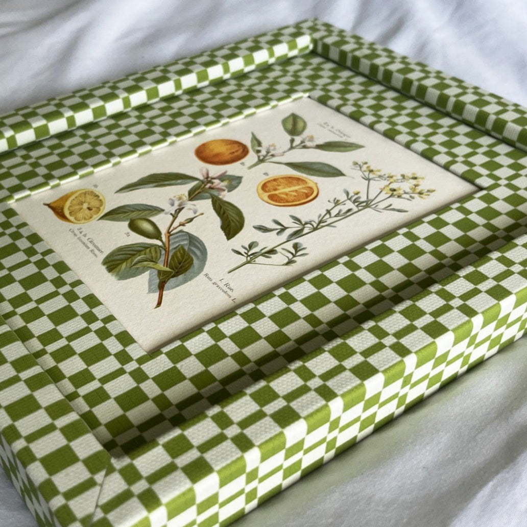 Side angle of Citrus Aurantium oranges botanical plant artwork framed in handcrafted green and beige checkered frame.

