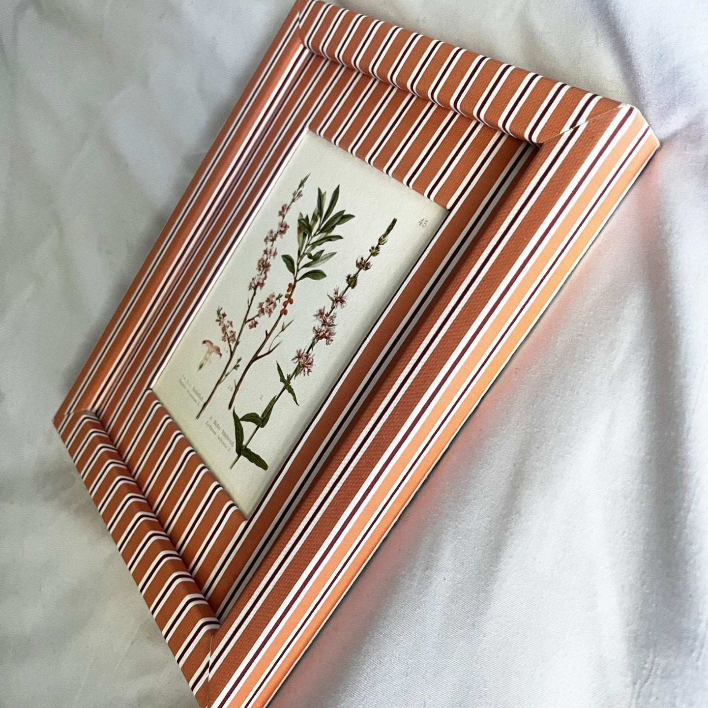 Angled side view of Daphne Mezereum botanical nature print highlighting artisanal craftsmanship of the Tangerine (orange) & Burgundy (red) striped frame