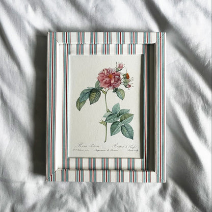  Full view of Empress Josephine rose plant print in 10x8in Sky (blue) & Scarlet (red) Tailor Stripe frame