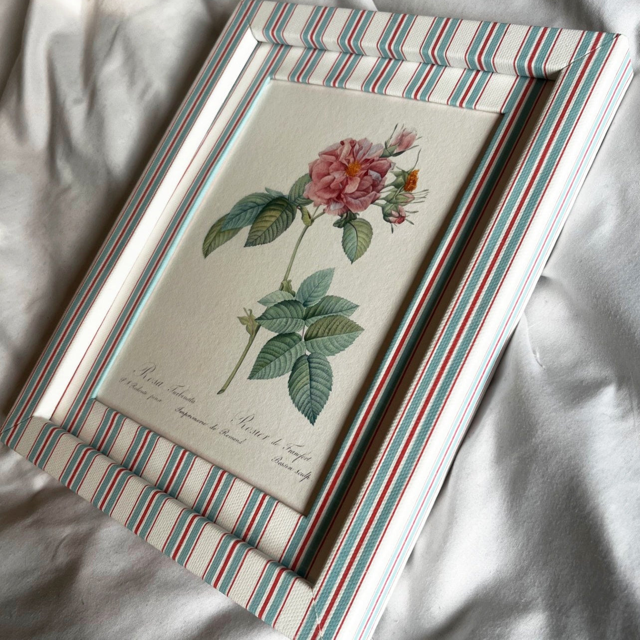 Side angle of framed Empress Josephine botanical print with bold Sky & Scarlet stripes