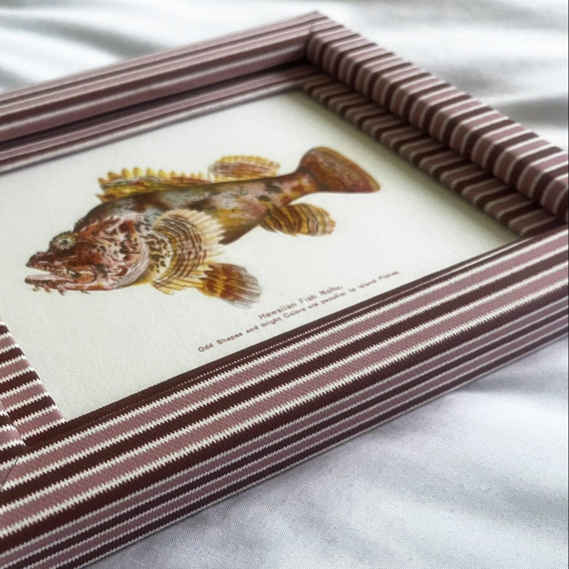 A striking set of two Hawaiian fish prints, Nohu and Nakunuku, reproduced from early 20th-century marine studies. Framed in artisanal zigzag cotton, perfect for ocean lovers.