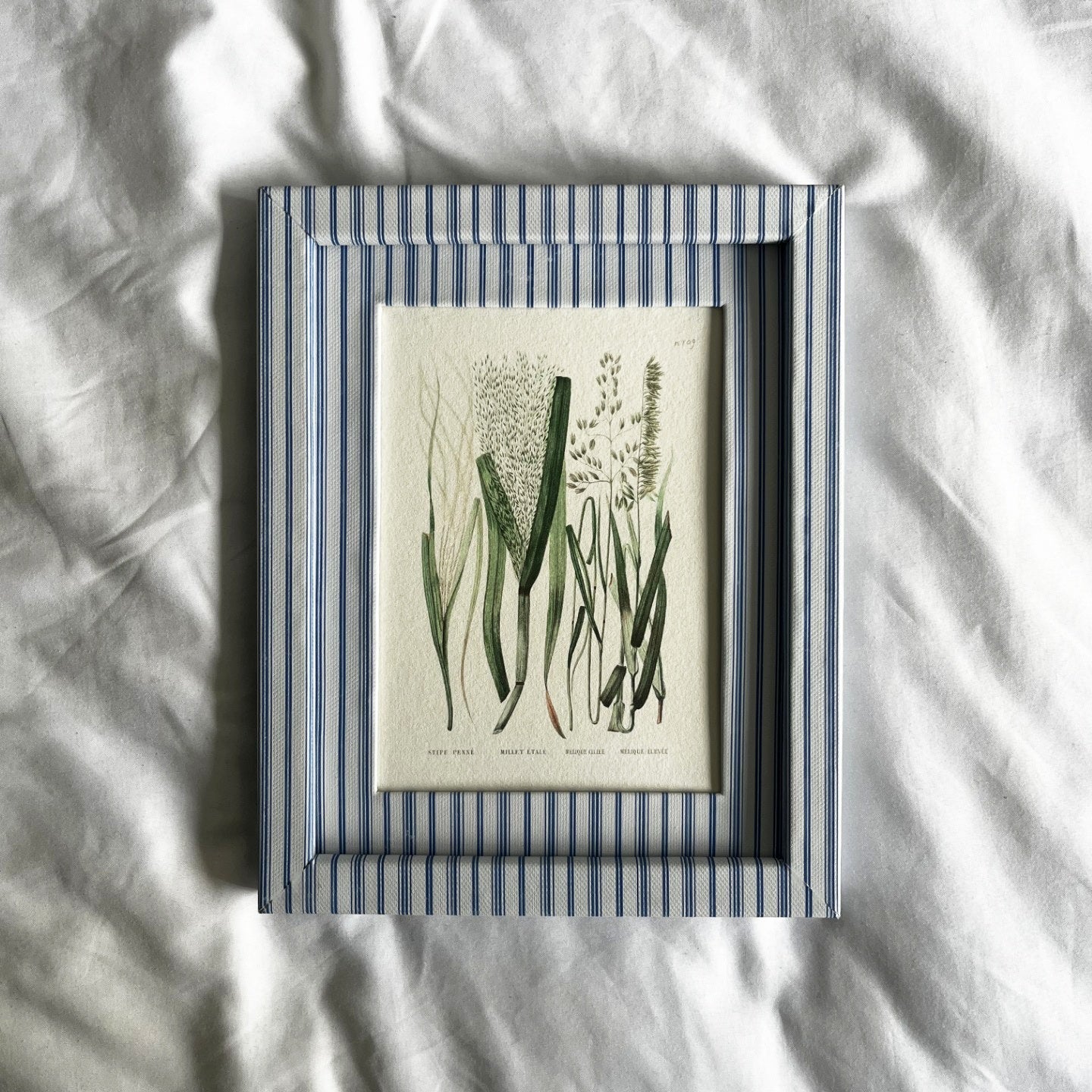 Full view of Forage Grasses botanical plant print in a 10x8 inch Rustic Blue Stripe frame on linen background