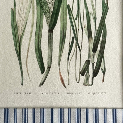 Close-up of Forage Grasses print with hand-painted Rustic Blue Stripe frame showing texture and light blue and grey colour