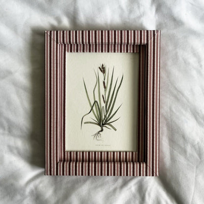 Laîche des rivages botanical plant print in a 9x7 inch Blush (pink) & Burgundy (red) Zigzag frame on a linen background.