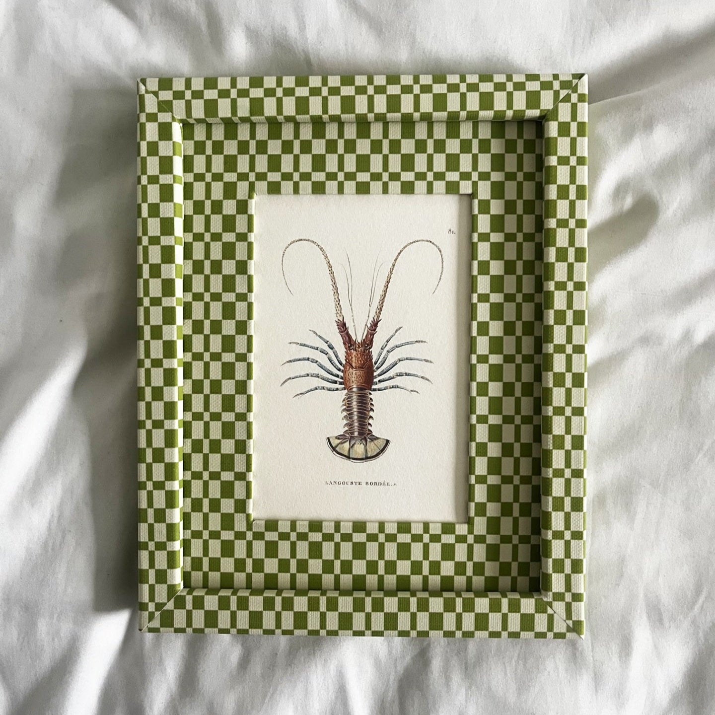 Full view of Langoustine Bordée lobster print in Green & Beige Checkered 10x8in frame.