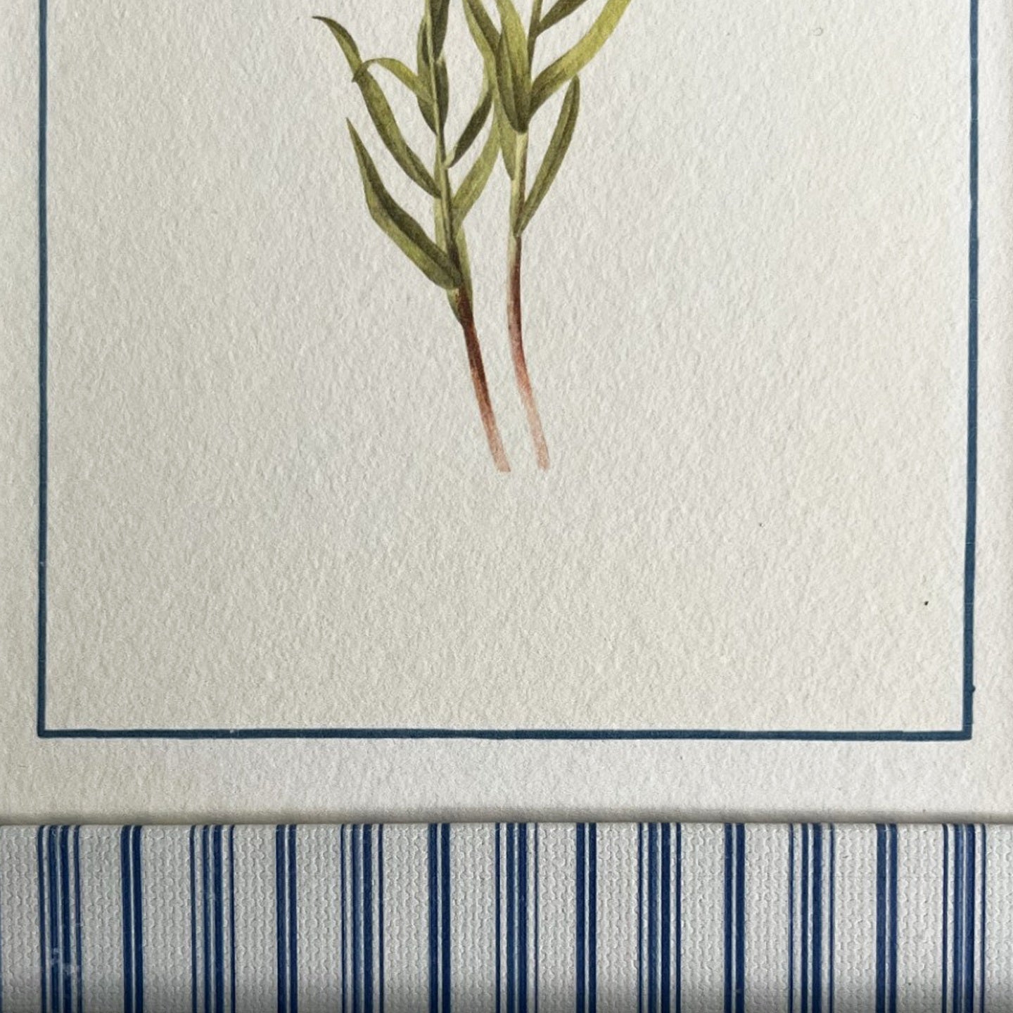 Close-up of Lilium Columbianum botanical floral print in Rustic Blue Stripe frame showing floral detail and cotton texture