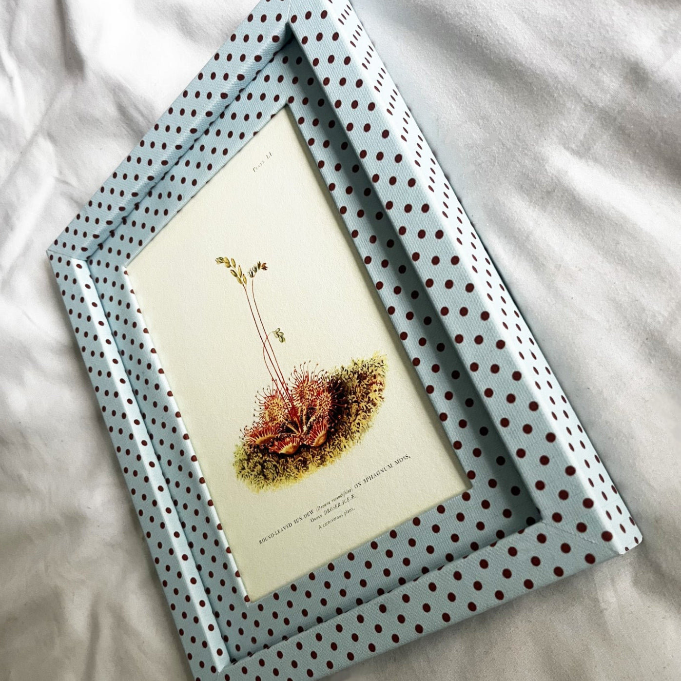 Polka dot picture frame with a framed print on a light background