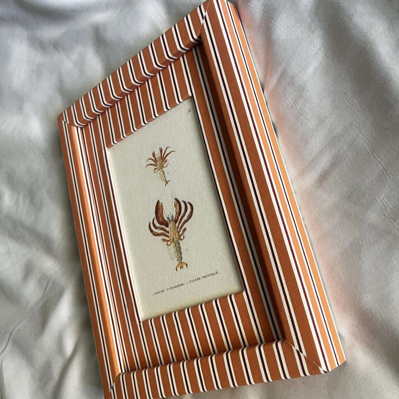 Side angle of hermit crab artwork showing the artisanal Tangerine (orange) & Burgundy (red) Seaside Stripe frame design