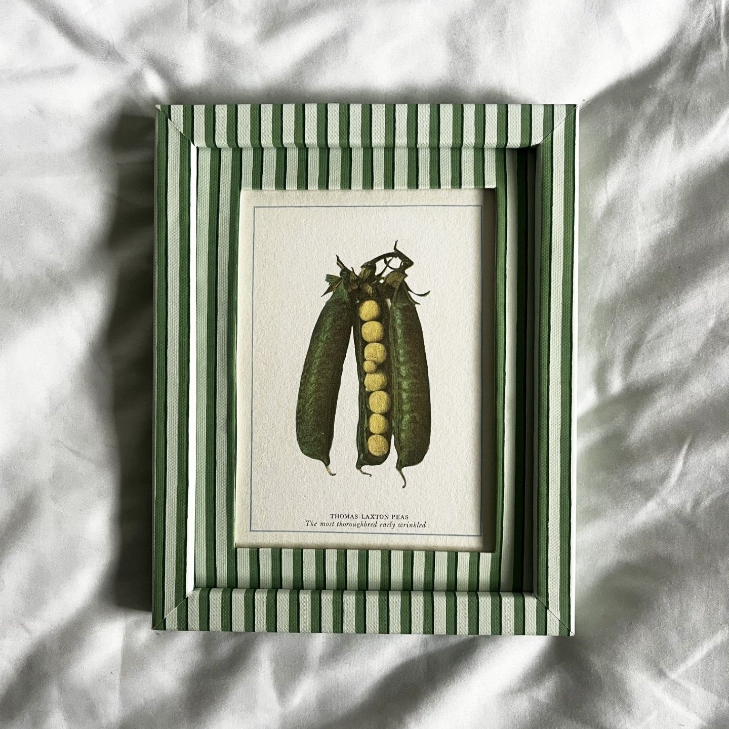 Full view of digitally enhanced Peas botanical vegetable british print in 10x8 inch Green Vanguard Stripe frame on neutral linen background.