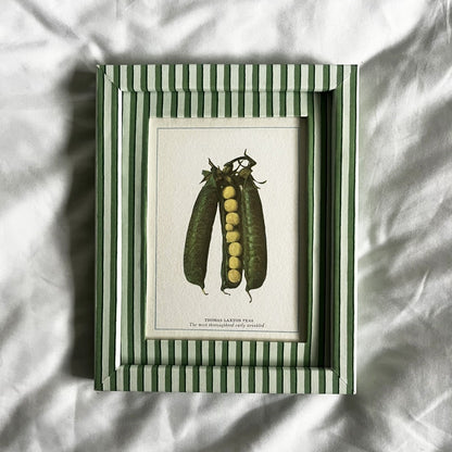 Full view of digitally enhanced Peas botanical vegetable british print in 10x8 inch Green Vanguard Stripe frame on neutral linen background.