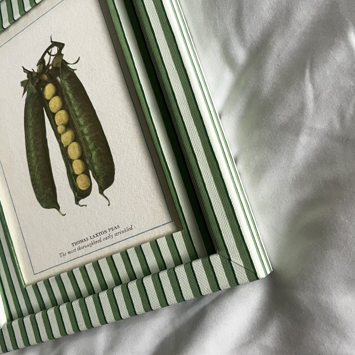 Side-angle view of Peas print in green striped frame, kitchen inspired vegetable print.