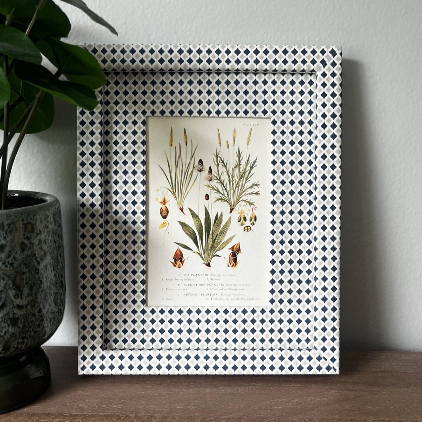 Styled interior shot featuring the Plantago botanical print in a 10x8 inch Navy & Mist Blue Zellige frame with blue and grey tones, displayed next to a green plant on a wooden surface.