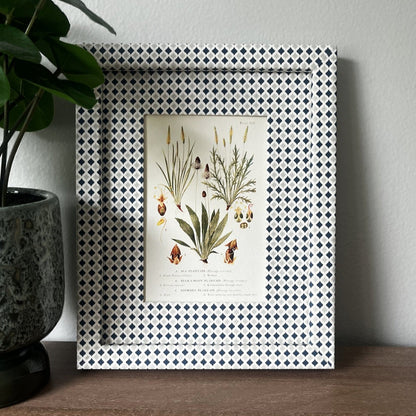 Styled interior shot featuring the Plantago botanical print in a 10x8 inch Navy & Mist Blue Zellige frame with blue and grey tones, displayed next to a green plant on a wooden surface.