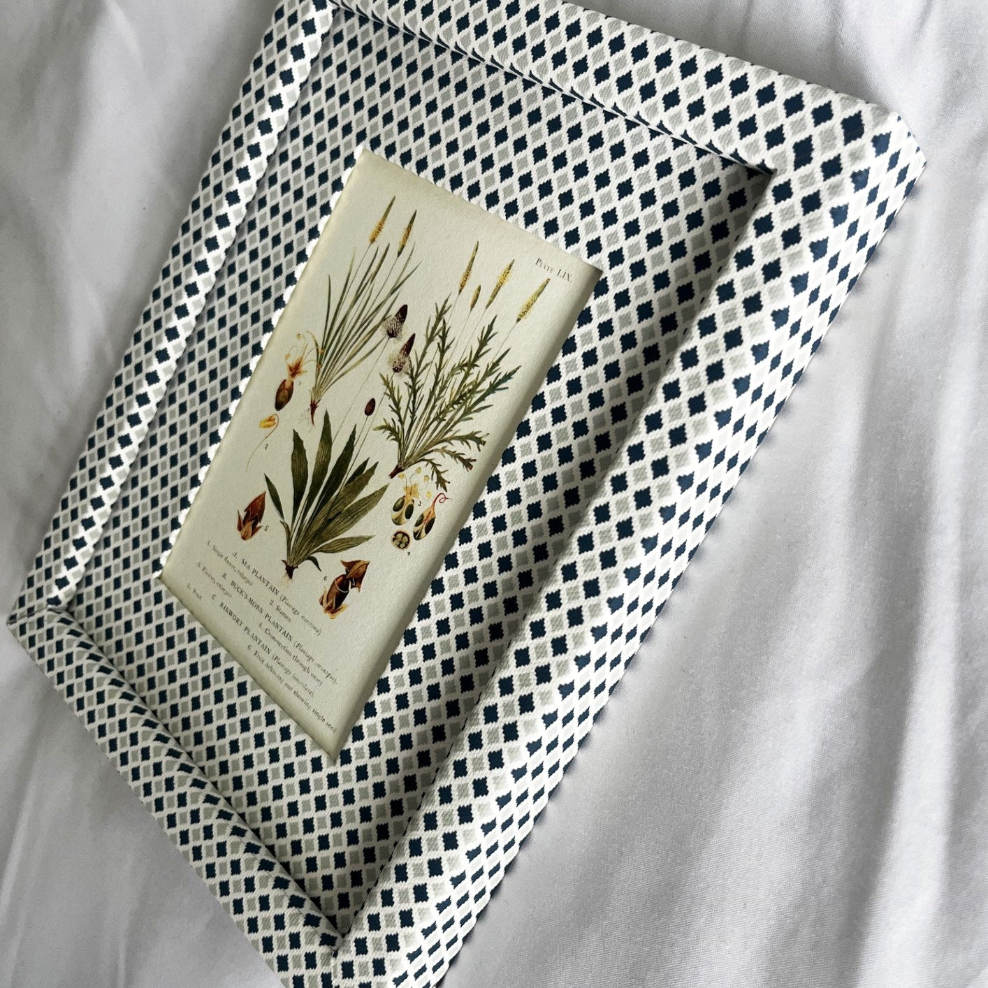 Side angle shot showcasing the artisanal craftsmanship of the Navy & Mist Blue Zellige frame with blue and grey tones, around the Plantago botanical print.
