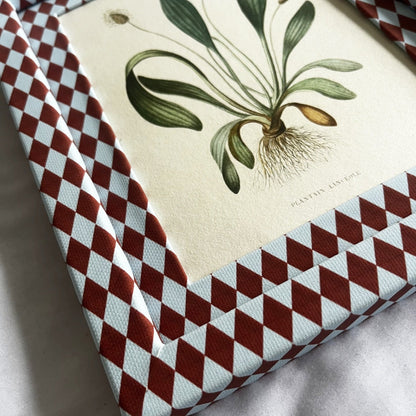 Side angle of framed Plantain Lancéolé botanical plant artwork, red and blue checkered harlequin handmade frame