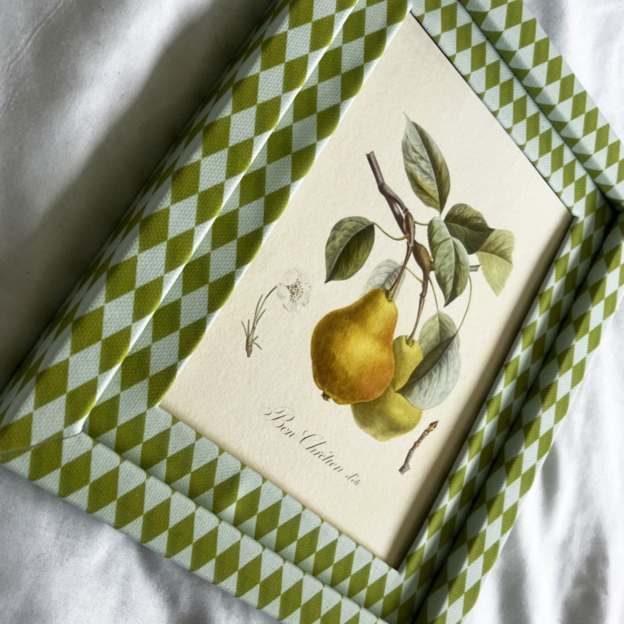 Side angle showing Bon Chrétien d’Été pear vegetable illustration with cotton-wrapped Chartreuse green & Frost blue Harlequin checkered frame.