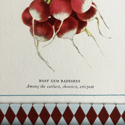 Close-up of 1918 Radish vegetable plant print in Burgundy red & Blue Harlequin cotton-wrapped frame