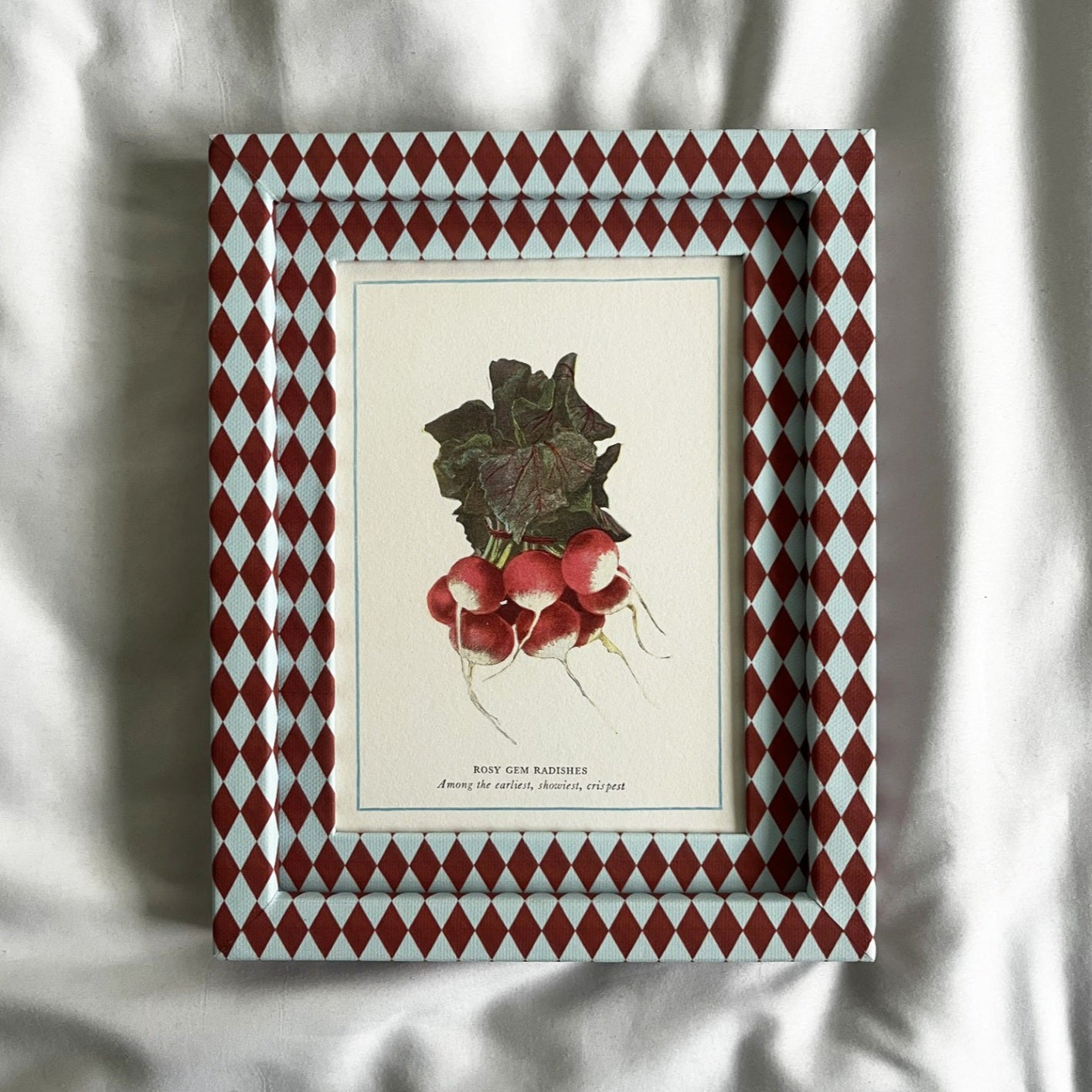 Full view of Radish vegetable plant print in Burgundy red & Blue Harlequin  checkered frame 10x8in