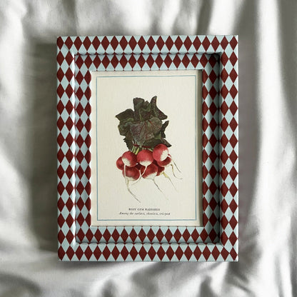 Full view of Radish vegetable plant print in Burgundy red & Blue Harlequin  checkered frame 10x8in
