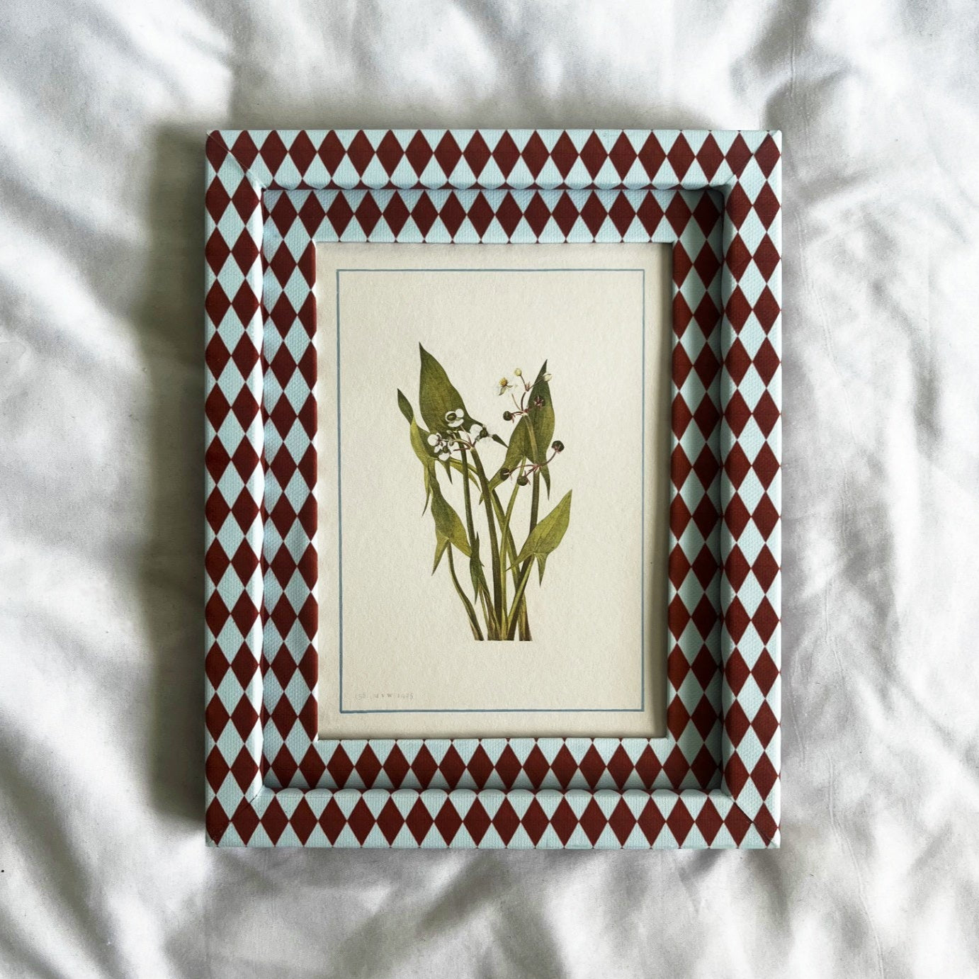 Sagittaria Cuneata wildflower botanical print in 10x8 inch Burgundy & Blue Harlequin frame on linen background