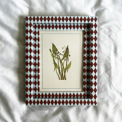 Sagittaria Cuneata wildflower botanical print in 10x8 inch Burgundy & Blue Harlequin frame on linen background