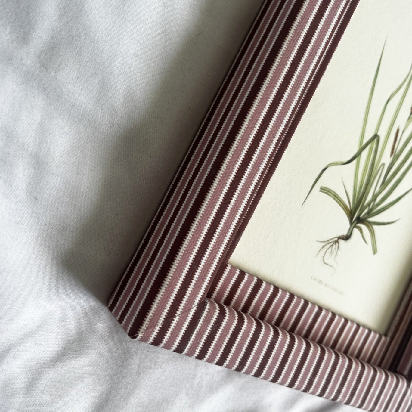 Angled view highlighting artisanal cotton-wrapped Blush (pink) & Burgundy (red) Zigzag stripe frame with Laîche des rivages plant print
