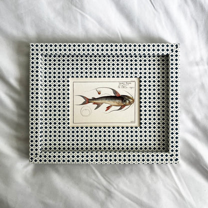 Silurus Bagre French Catfish print framed in Moroccan-inspired Navy & Mist Blue Zellige frame with blue and grey tones by The Pia Frames, displayed on linen background.