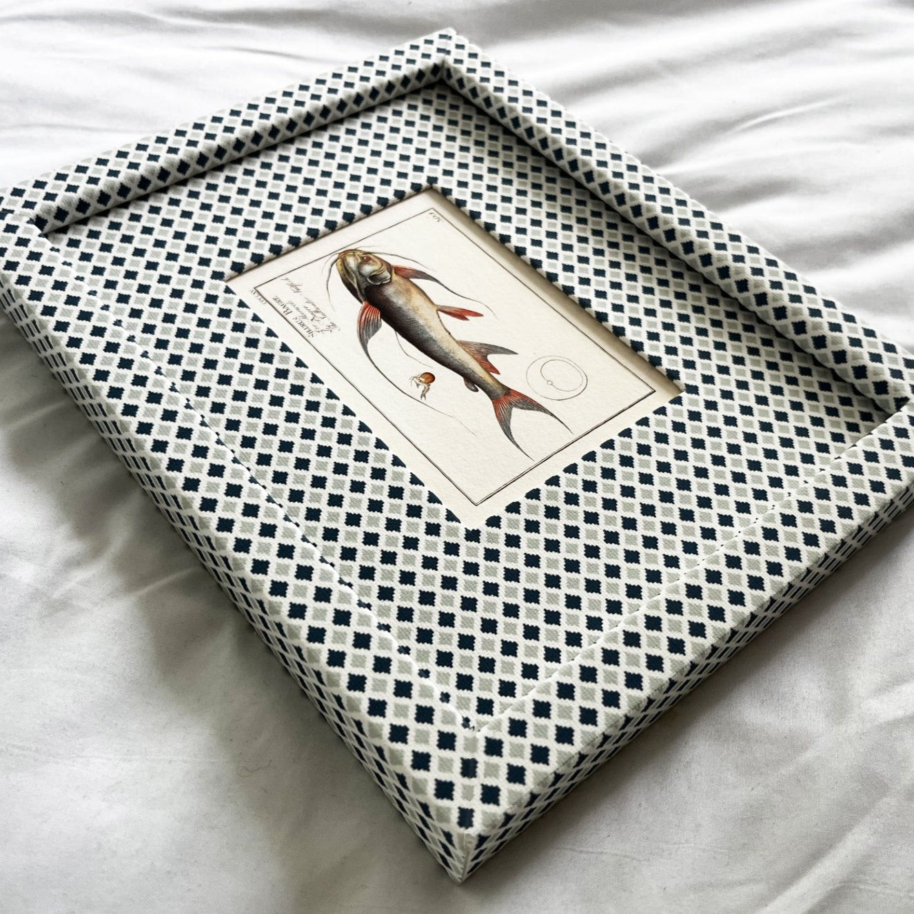 Side angle of Silurus Bagre print in Moroccan-inspired Navy & Mist Blue Zellige frame with blue and grey tones, highlighting frame depth and linen background texture.