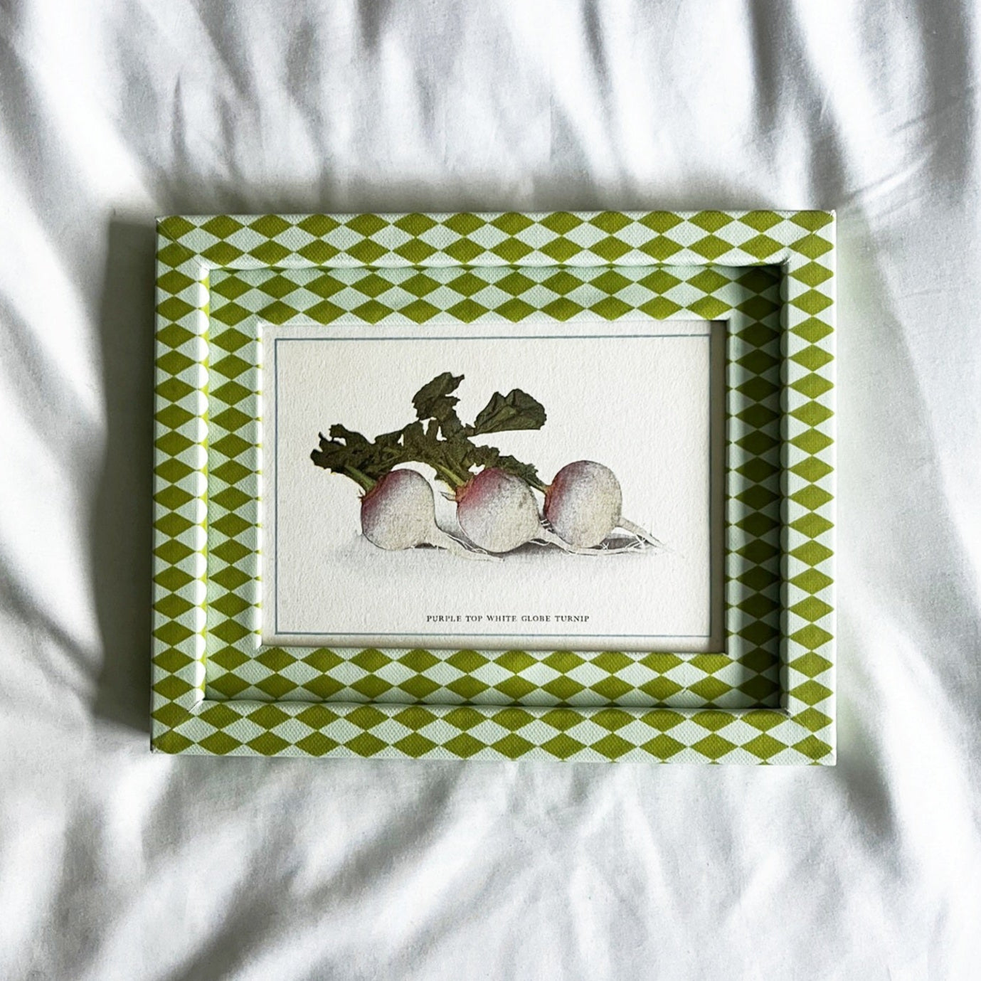 Botanical illustration of a turnip vegetable from 1918, framed in a chartreuse green and frost blue harlequin checkered pattern frame