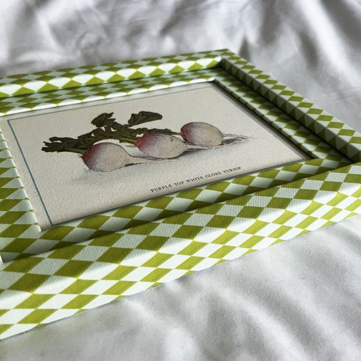Early 20th-century turnip drawing in colorful chartreuse green and frost blue checkered frame, inspired by heritage gardening illustrations