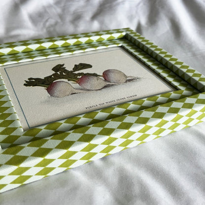 Early 20th-century turnip drawing in colorful chartreuse green and frost blue checkered frame, inspired by heritage gardening illustrations